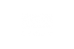 Essilor