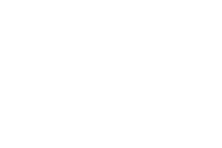 Longvic