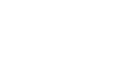 Bp