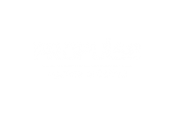 Propulse