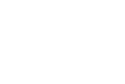 Publicis groupe